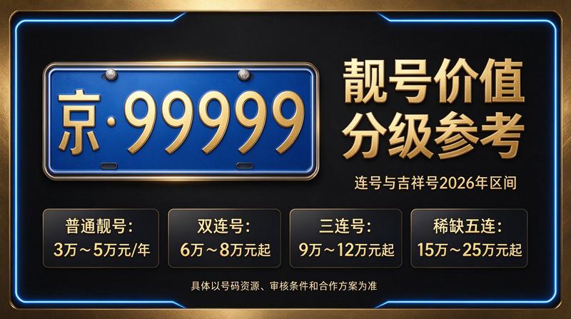 京牌指标业务办理展示图